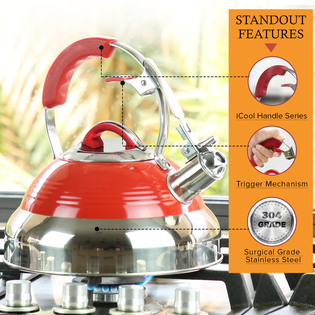  Whistling Tea Kettle for Stovetop, 3.5L Stainless